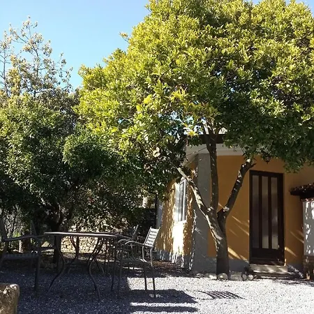 Ardissone Thomas Apartamento
